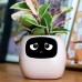 Умный горшок для комнатных растений. Masdio Ivy 8